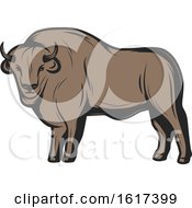 Poster, Art Print Of Bison