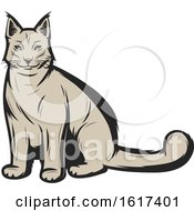 Poster, Art Print Of Lynx Cat