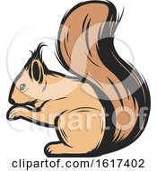Poster, Art Print Of Squirrel