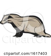 Badger by Vector Tradition SM