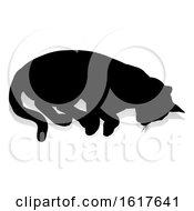 Poster, Art Print Of Silhouette Cat Pet Animal