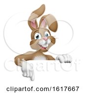 Easter Bunny Rabbit Pointing Cartoon At Sign