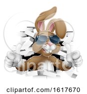 Easter Bunny Cool Rabbit Sunglasses Thumbs Up