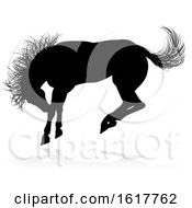 Poster, Art Print Of Horse Animal Silhouette On A White Background
