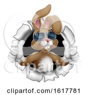 Poster, Art Print Of Easter Bunny Cool Thumbs Up Rabbit In Sunglasses