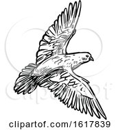 Poster, Art Print Of Black And White Sketched Flying Dove