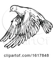 Black And White Sketched Flying Dove