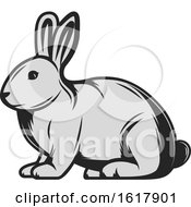 Poster, Art Print Of Rabbit