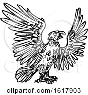 Poster, Art Print Of Sketched Black And White Eagle