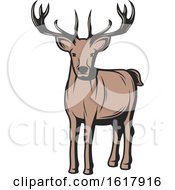 Poster, Art Print Of Buck Deer