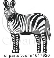 Poster, Art Print Of Zebra