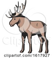 Poster, Art Print Of Moose