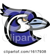 Poster, Art Print Of Black Throated Magpie Jay Bird Head Mascot