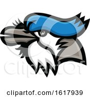 Poster, Art Print Of Blue Jay Mascot Head