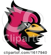 Poster, Art Print Of Cardinal Bird Head Mascot