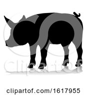 Poster, Art Print Of Pig Silhouette Farm Animal On A White Background