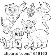 Poster, Art Print Of Happy Lemur Monkey And Tarsier