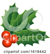 Poster, Art Print Of Christmas Holly And Berry Design Element