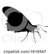 Poster, Art Print Of Butterfly Insect Animal Silhouette