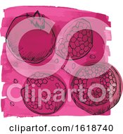 Poster, Art Print Of Watercolor Design With Pomegranate