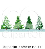 Poster, Art Print Of Evergreen Trees With Snow