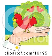 Poster, Art Print Of Red Bird On A Mans Hand Near A Tree With Other Red Birds