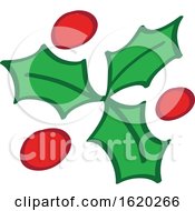 Christmas Holly Design by Zooco