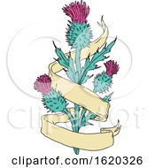 Scottish Thistle With Ribbon Color Drawing