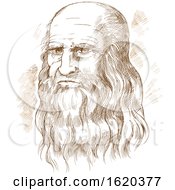 Hand Drawn Vector Portrait Leonardo Da Vinci by Domenico Condello