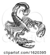 Poster, Art Print Of Scorpion Scorpio Zodiac Sign Woodcut Design