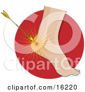 Arrow Hitting The Heel Of A Foot Achilles Heel Symobolizing Weakness And Vulnerability Clipart Illustration Image