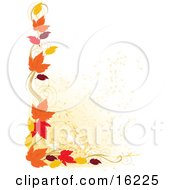 Border Of Autumn Leaves Over A White Background