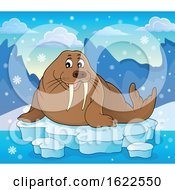 Walrus by visekart