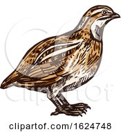 Poster, Art Print Of Sketched Bird
