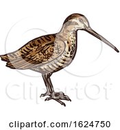 Poster, Art Print Of Sketched Bird