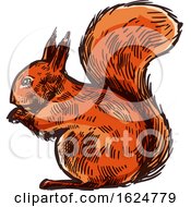 Poster, Art Print Of Sketched Squirrel