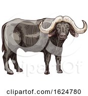 Poster, Art Print Of Sketched Buffalo