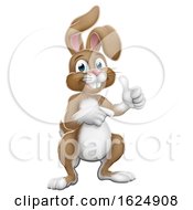 Poster, Art Print Of Easter Bunny Rabbit Cartoon Thumbs Up And Pointing