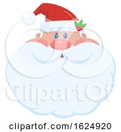Christmas Santa Claus Face With A Big Beard by Hit Toon