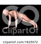 Poster, Art Print Of 3d Male Figure In Press Up Pose With Arm Bones Highlighted