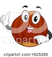 Mascot Hazel Nut Illustration