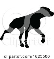 Poster, Art Print Of Silhouetted Dog