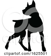 Silhouetted Dog