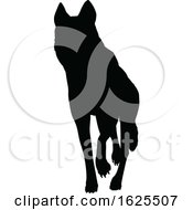 Poster, Art Print Of Silhouetted Dog