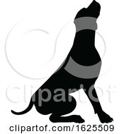 Poster, Art Print Of Silhouetted Dog