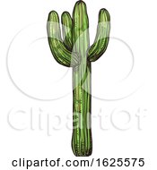 Poster, Art Print Of Saguaro Cactus