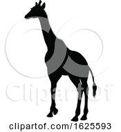 Poster, Art Print Of Giraffe Safari Animal Silhouette