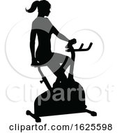 Gym Woman Silhouette Stationary Exercise Spin Bike