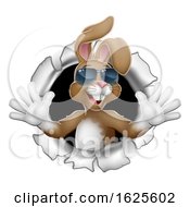 Easter Bunny Cool Rabbit Sunglasses Breaking Wall