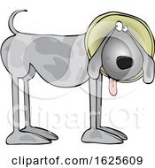 Poster, Art Print Of Cartoon Gray Dog Wearing A Cone